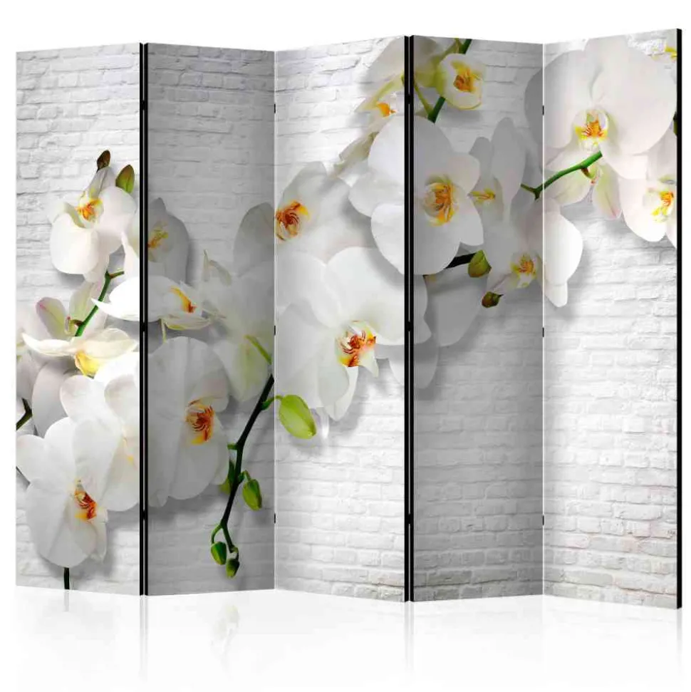 Paravent Raumtrenner Orchideen vor Mauer - Anthony