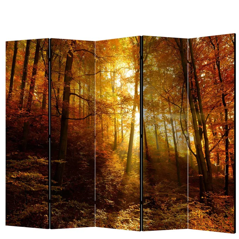 Paravent Trennwand Wald in Herbststimmung - Jemja