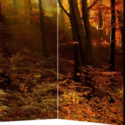 Paravent Trennwand Wald in Herbststimmung - Jemja