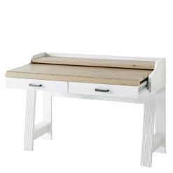 PC Schreibtisch & Rollcontainer - Mehady (zweiteilig)