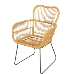 Rattan Sessel mit Eisen Bügelgestell - Finaly