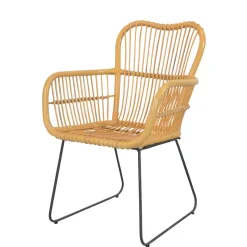 Rattan Sessel mit Eisen Bügelgestell - Finaly