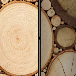 Raumteiler mit Fotodruck Baumscheiben - Siska