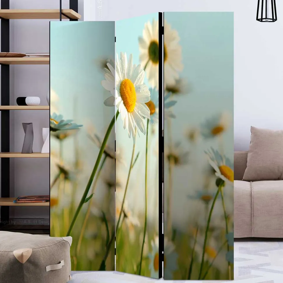 Raumteiler Paravent mit Foto Gänseblümchen - Lipari