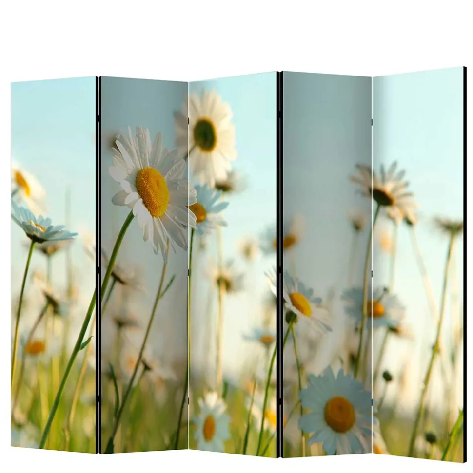 Raumteiler Paravent mit Foto Gänseblümchen - Lipari