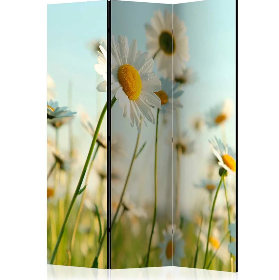 Raumteiler Paravent mit Foto Gänseblümchen - Lipari