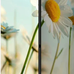 Raumteiler Paravent mit Foto Gänseblümchen - Lipari