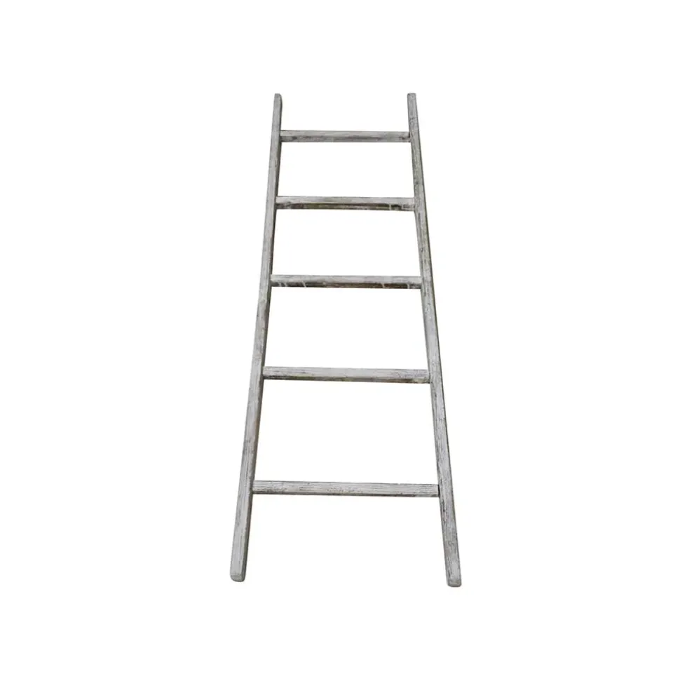 Regal Tanta in Leiterform