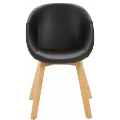 Scandi Designstühle mit Armlehnen - Tramos (2er Set)