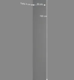 Schmaler Wandspiegel ohne Rahmen - Avidora