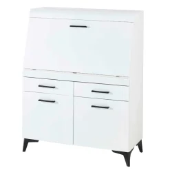 Schreibschrank mit Klappe & zwei Türen - Quakes