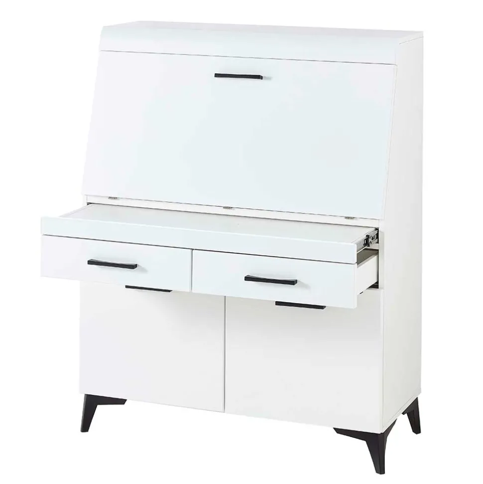 Schreibschrank mit Klappe & zwei Türen - Quakes