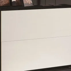 Schuh Flurschrank mit zwei Schuhklappen - Ilusiana