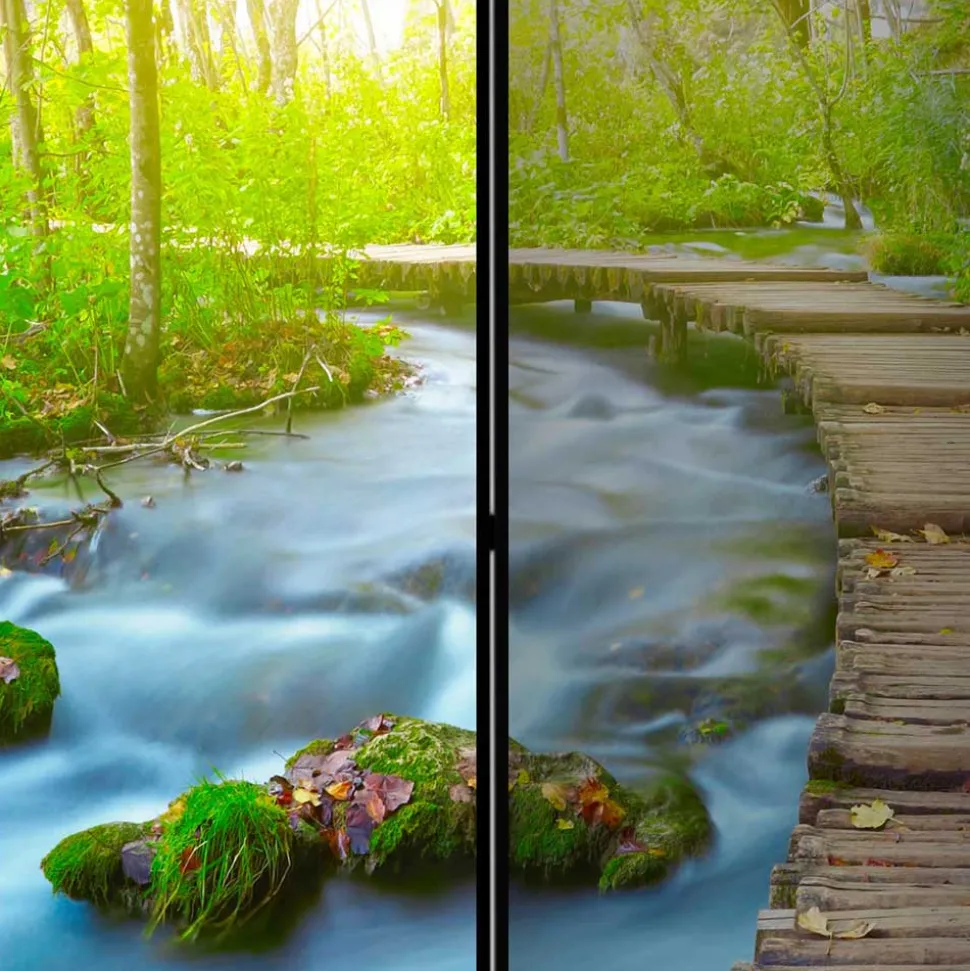 Spanische Wand mit Foto Wald Wasser & Holzweg - Musena