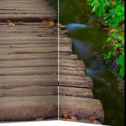 Spanische Wand mit Foto Wald Wasser & Holzweg - Musena