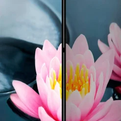 Spanischer Raumteiler mit Foto Rosa Seerose - Emek