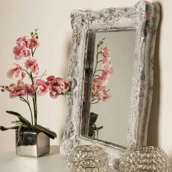 Spiegel aus Grey Wash Tannenholz - Zyamonicus