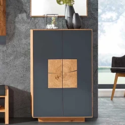 2-türige Schuhkommode in Anthrazit Glas - Mandrey