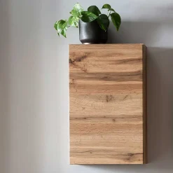 1-türiger Hängeschrank in Wildeiche Dekor - Iliam