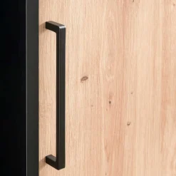 1-türiger Officeschrank in modernem Design - Evasilica