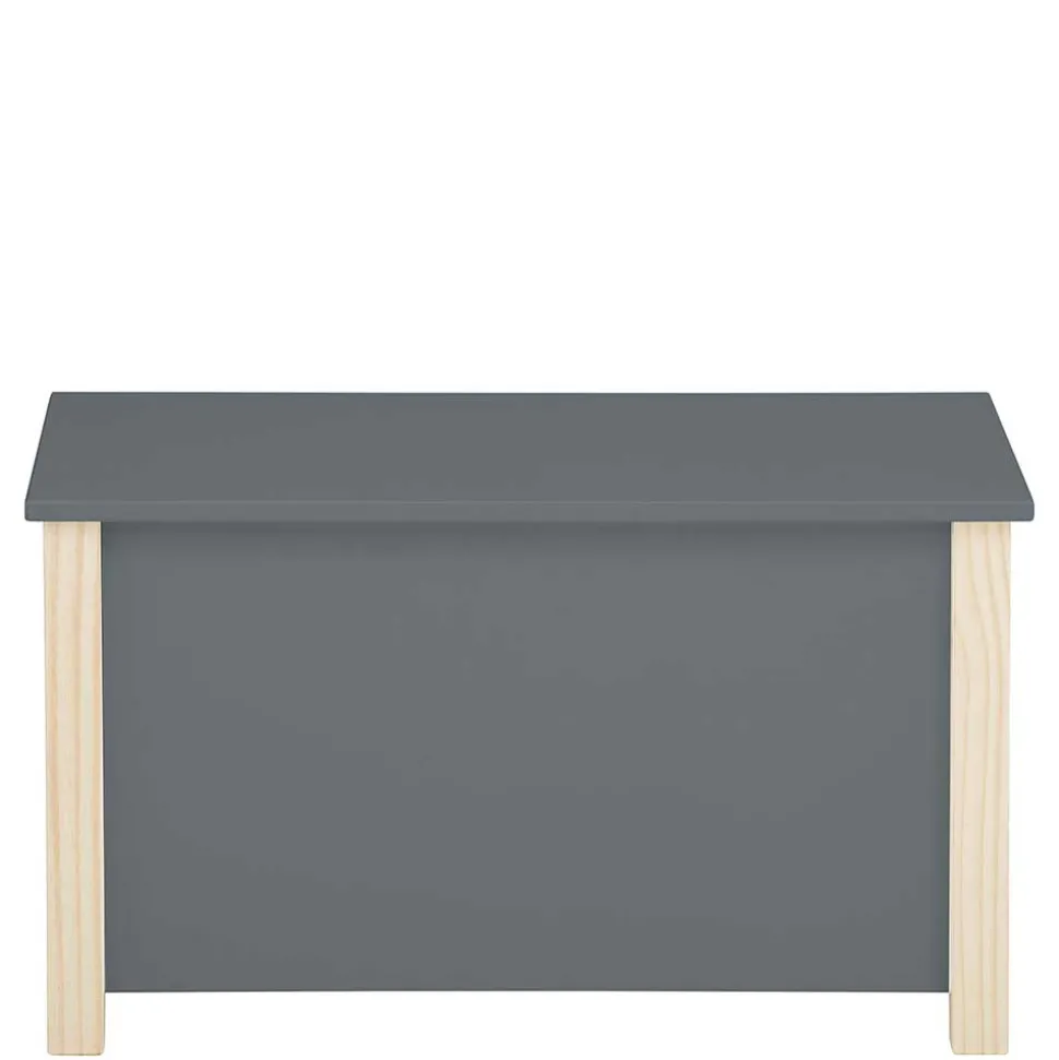 Truhe mit flachem Deckel - Bradley