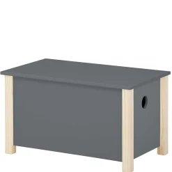 Truhe mit flachem Deckel - Bradley