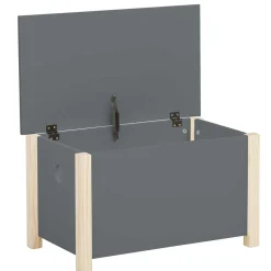 Truhe mit flachem Deckel - Bradley