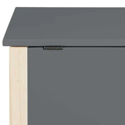 Truhe mit flachem Deckel - Bradley