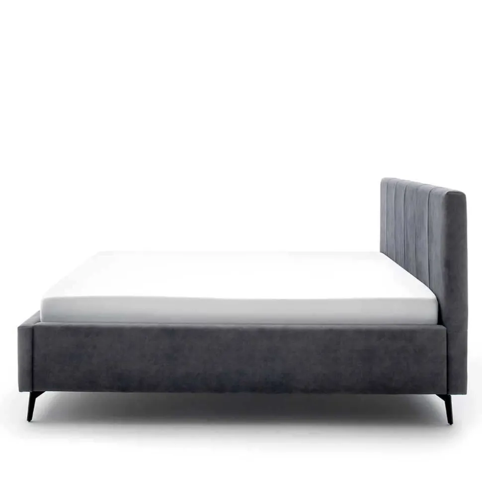 Velours Polsterbett in Anthrazit - Laterna