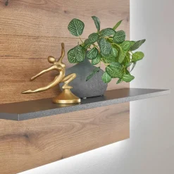 Wandregal-Paneel in Wildeiche Optik und Anthrazit - Colomania