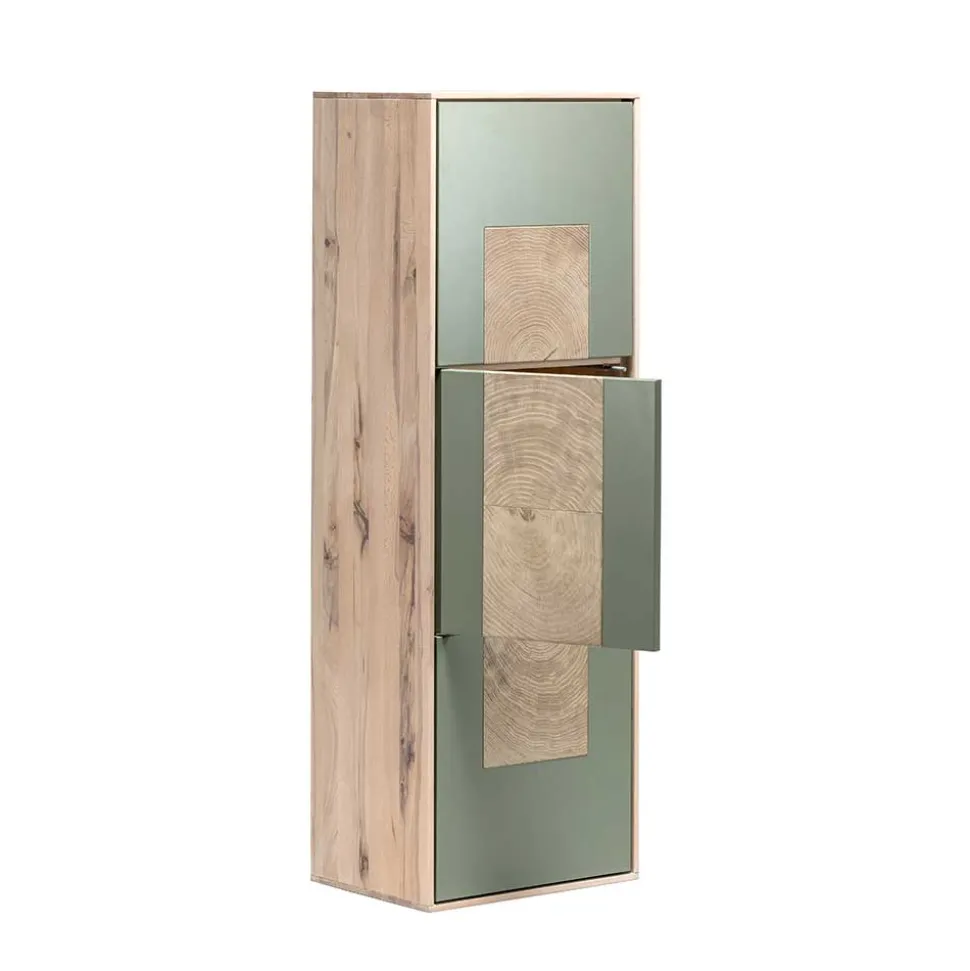 Wohnraum Hängeschrank zweifarbig - Ajevos