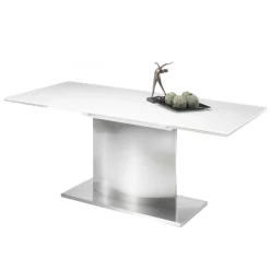 260x90 Esszimmer Glastisch mit Säulengestell - Anin