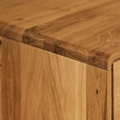 120x48x40 cm Wildeiche TV Element mit Tür - Eavy