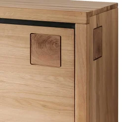 170x56x40 Fernsehboard aus Wildeiche Massivholz - Embleys