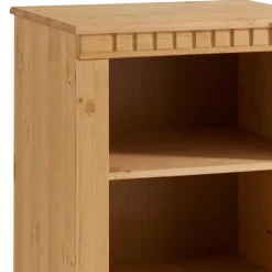 55x100x35 Hochkommode mit zwei Fächern - Silevos