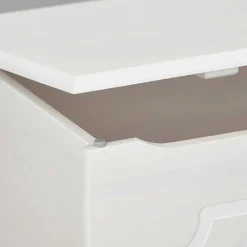 89x53x47 Landhaus Truhe in Weiß - Vaslui