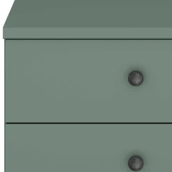 50x57x36 Nachtkommode in Graugrün - Rajavo