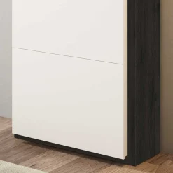 60x154x37 Schuhschrank mit 4 Schuhwalzen - Abapo