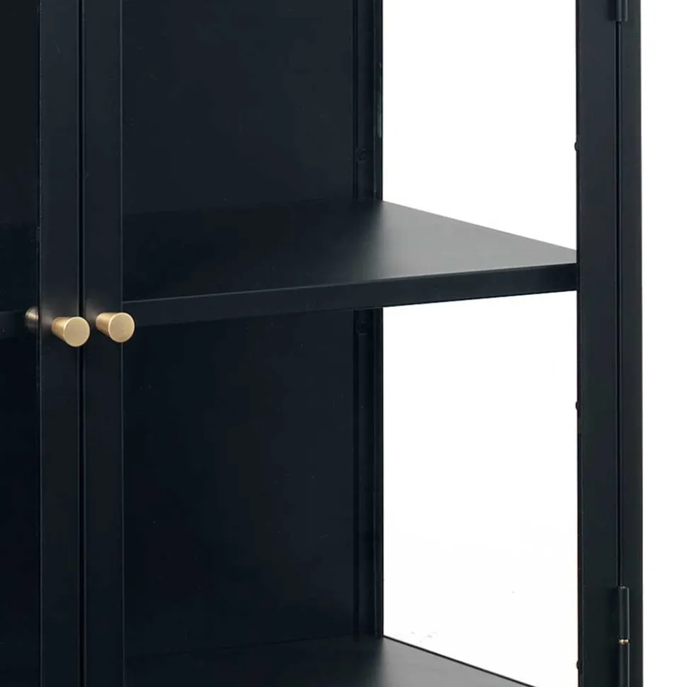 90x85x40 2-türiger Schrank aus Glas & Metall - Butoaie