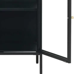 90x85x40 2-türiger Schrank aus Glas & Metall - Butoaie