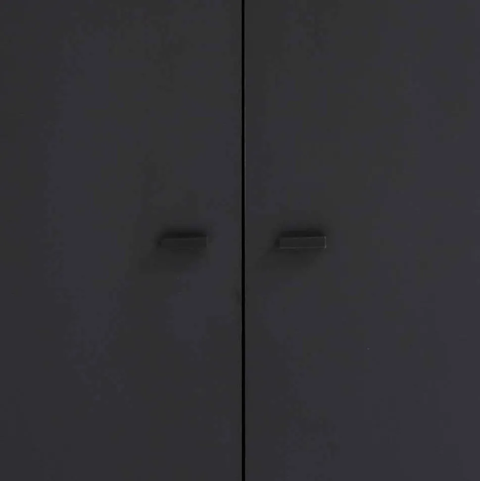 60x170x33 2-türiger Schuhschrank in Schwarz - Anderian