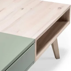 Zweifarbiger Wohnzimmertisch mit Stauraum - Ajevos